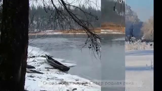 Белые лебеди Копытин Александр г.Железногорск смотреть онлайн