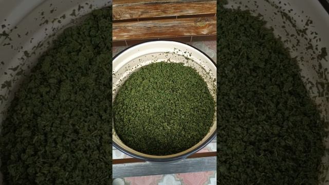 Иван Чай Заготовка исконно русского чая. смотреть онлайн