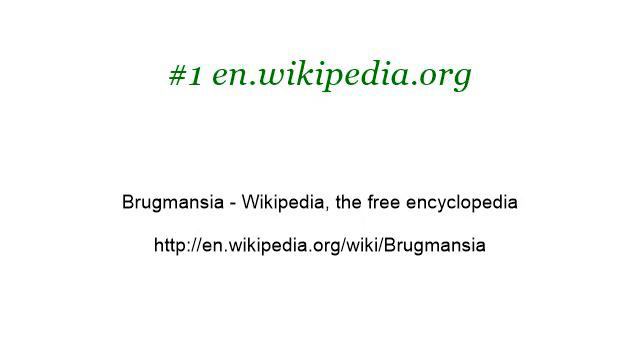 Brugmansia Species смотреть онлайн