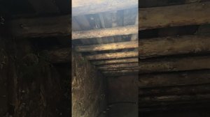 погреб вход с улицы