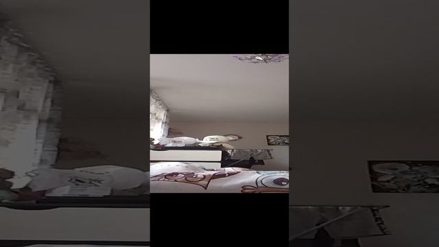1000020244.mp4 смотреть онлайн
