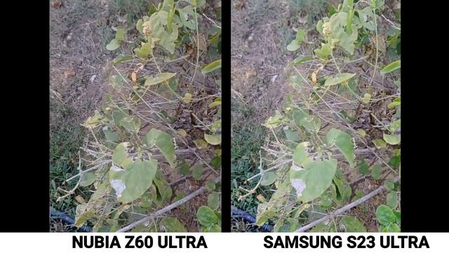 ZTE Nubia Z60 ULTRA VS Samsung Galaxy S23 Ultra Camera Test смотреть онлайн