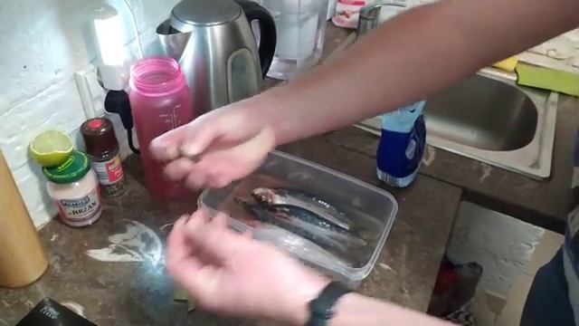 Природные Явления и Феномены