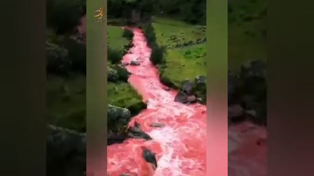 Шейх Мишари Рашид сура-61 Ас-Сафф (Ряды) #kuran#zakirnaik #kuran#sunnah#коран смотреть онлайн