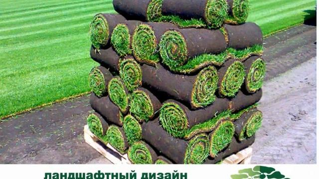 Варвара грин 18 06 смотреть онлайн