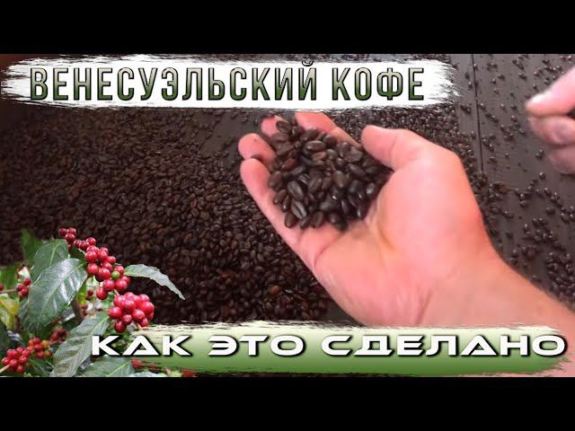 Венесуэльский кофе. Как это сделано. смотреть онлайн