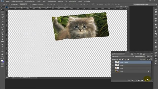 Урок:Наложение обрывка бумаги на фотографию и дорисовка карандашом смотреть онлайн