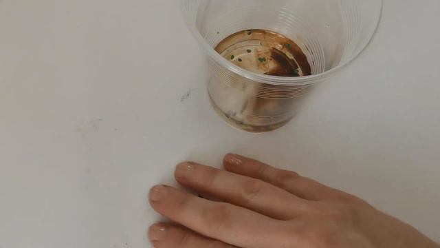 ЛУК ЭКСИБИШЕН🌰Способ посева гарантирует ОГРОМНЫЙ УРОЖАЙ смотреть онлайн