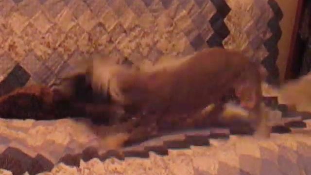 танцы в положении лежа смотреть онлайн