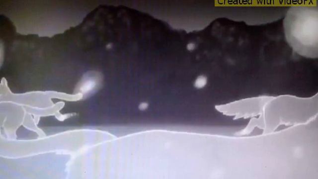 Коты-Воители: ЗП и СЛ День,Ночь смотреть онлайн