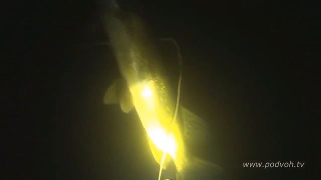 Подводная охота Осенняя щука смотреть онлайн