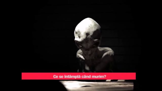 The Real Alien and the last Interrogation смотреть онлайн