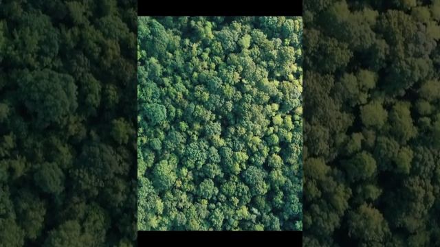 Техника 3-2-1 для улучшения памяти ?| Способ увеличить мощность мозга ? #shorts #reels #tips смотреть онлайн