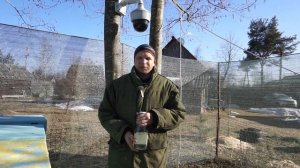 Весенняя обработка от клеща пихтовым маслом.