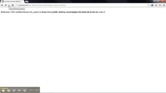Recover from a WordPress Fatal error using your website's control panel (cPanel) смотреть онлайн