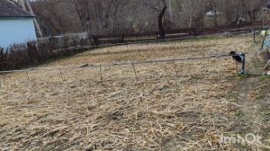 Спрей лента туман как собрать полив огорода своими руками.