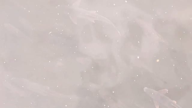 КАРЛОВЫ ВАРЫ | ЧЕХИЯ | ноябрь 2021 #карловывары #чехия смотреть онлайн