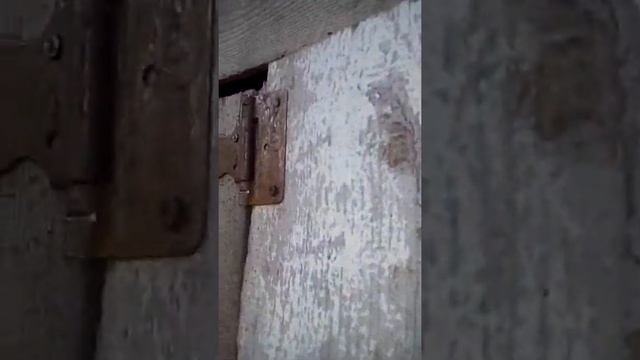 Кормушки , поилки и сенники для кроликов.(В моем хозяйстве) смотреть онлайн