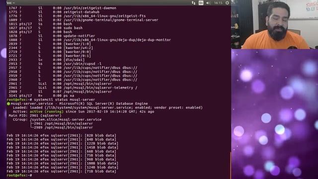Instalación MSSQL Server Ubuntu 16.04 - En español смотреть онлайн
