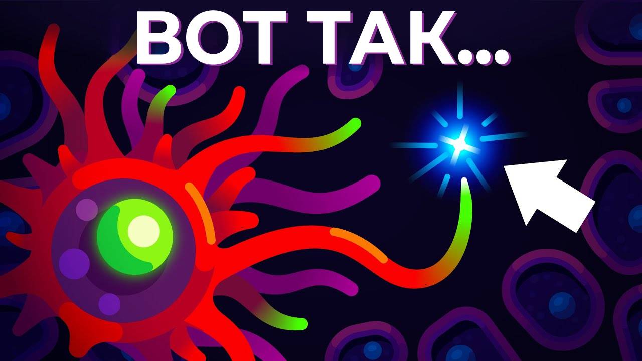 Лучший способ повысить иммунитет с наукой смотреть онлайн