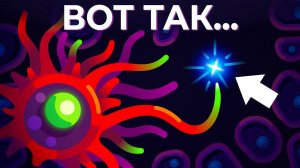 Лучший способ повысить иммунитет с наукой