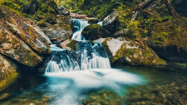 Интересные истории. Гость. Увлекательные истории. Истории для души. Рассказы смотреть онлайн