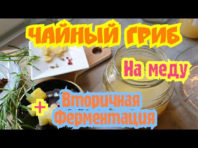 ЧАЙНЫЙ ГРИБ НА МЕДУ. Подробная  Инструкция  Для Новичков. Вторичная Ферментация Jun Kombucha