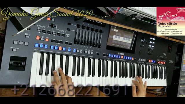 Yamaha#Genos#Expansion#Sahara Sound 2 смотреть онлайн