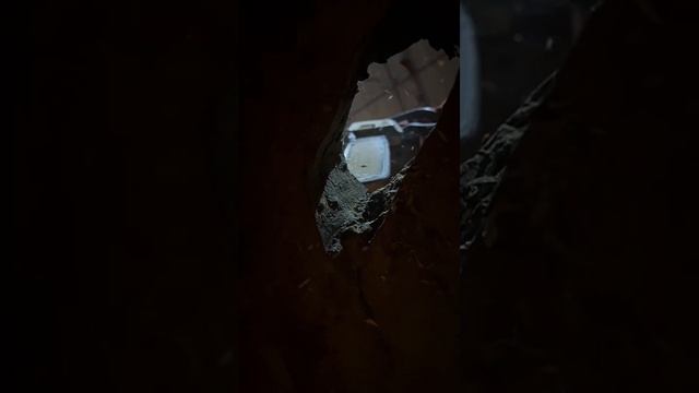 Стол из пня. Мастерская LoftMagic смотреть онлайн