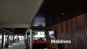 Lily Beach Maldives - обзор и особенности отеля - (Лили Бич, Мальдивы)