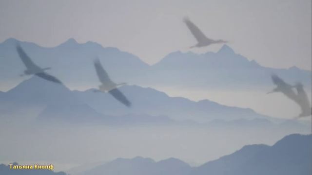 ЗДЕСЬ ПОД НЕБОМ ЧУЖИМ смотреть онлайн