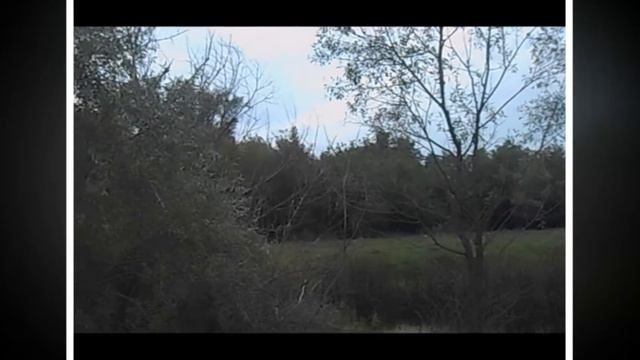 Путешествие на Песчанку смотреть онлайн