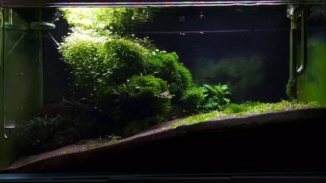 meditation, sleep, aquascape, медитация , сон, акваскейп смотреть онлайн