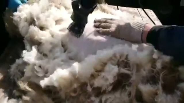 Машинка для стрижки овец Baoda f7 смотреть онлайн