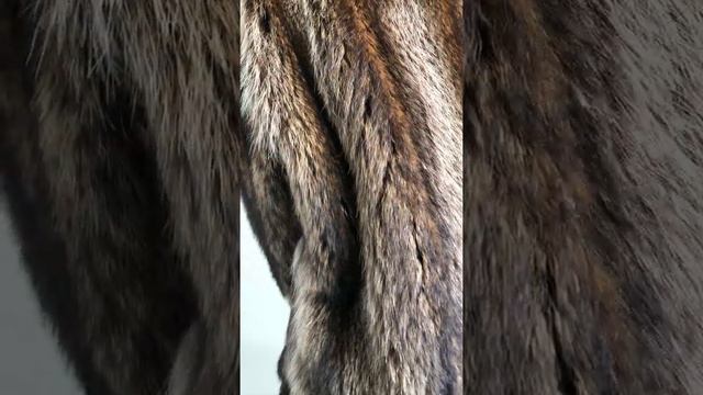 Шуба Енот 9500 ₽ в очень хорошем состоянии дл.100 см р.50-52 /11405/ смотреть онлайн