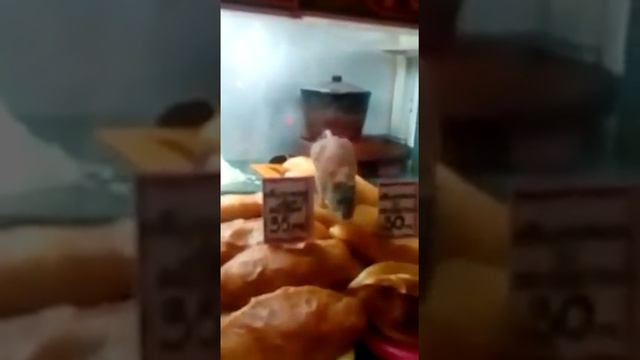 Благовещенцы делятся видео с крысой, которая гуляет по еде в киоске смотреть онлайн
