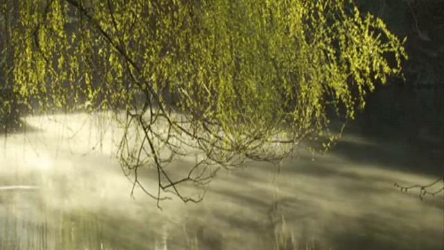 Вопросы и ответы Русского Мастера. Чатура Лока и Связь с Ней. смотреть онлайн