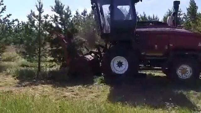 Вот так #ДеснаПолесье (УЭС) с мульчером вводит залежи в оборот в Инзенском районе Ульяновской обл. смотреть онлайн