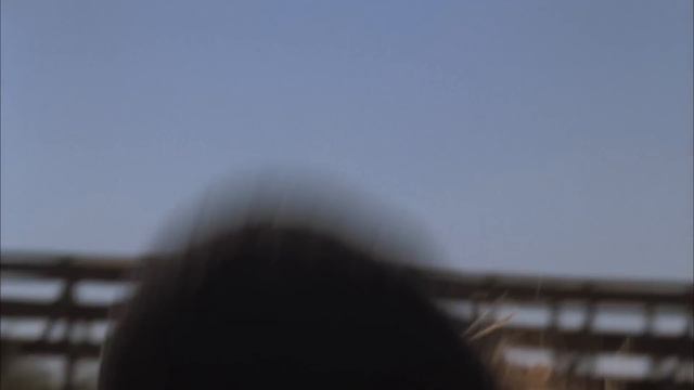 Craig Anderson for Quiksilver Denim смотреть онлайн