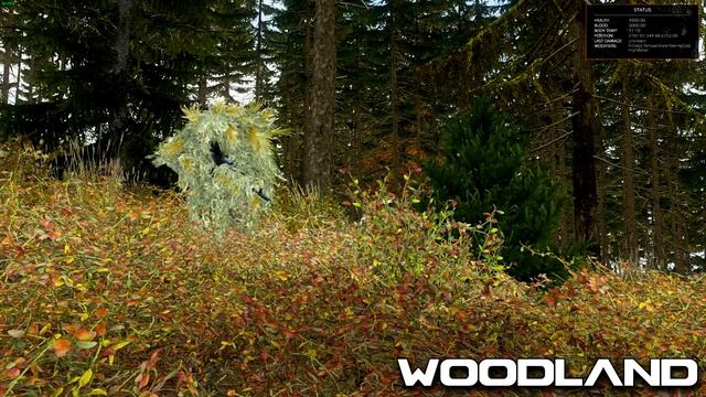 [0.62 Exp] DayZ Standalone - Ghillie Suit Guide & Testing смотреть онлайн
