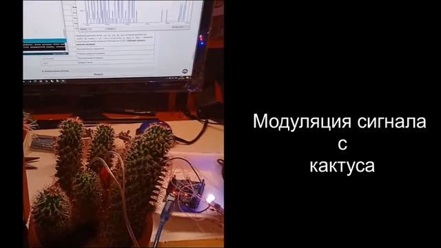 Поющие растения Проект на arduino смотреть онлайн