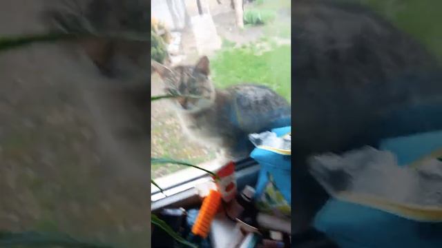 28 апреля 2022 г. смотреть онлайн