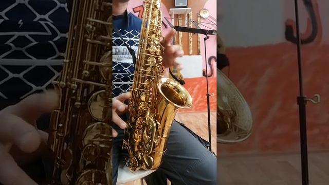 Sax alto Mariachi Talent смотреть онлайн
