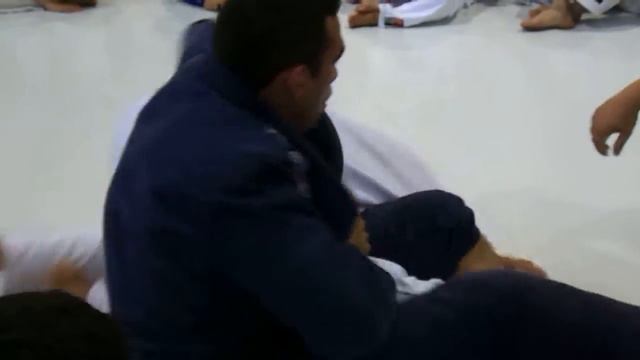 Seminário Fabrício Werdum CT Golden Fighters смотреть онлайн