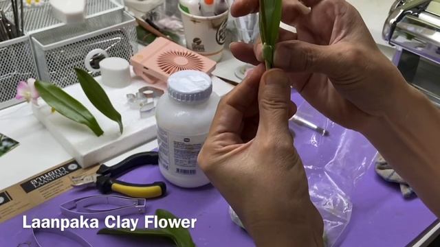 Орхидея Дендробиум Цезарь часть 3. mp4 смотреть онлайн