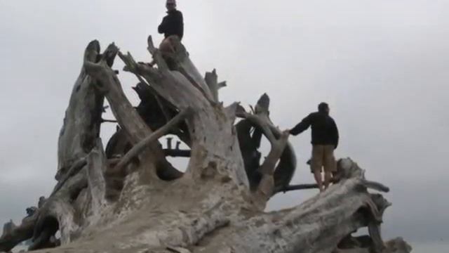 OLYMPIC National Park.wmv смотреть онлайн