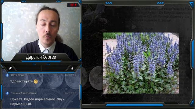 Дараган Сергей Ájuga genevénsis смотреть онлайн