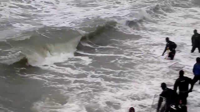 DSCN7709 смотреть онлайн