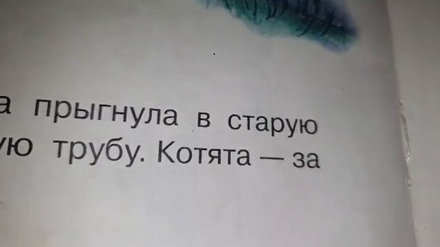 четаем сказку 3 котенка смотреть онлайн