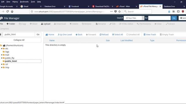 How to Transfer Localhost Worpress Site to a live Server смотреть онлайн